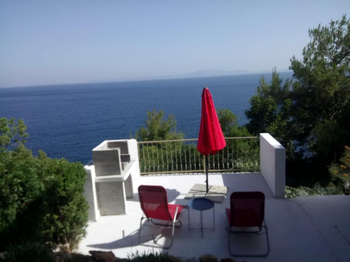Inter Vivos Apartament *